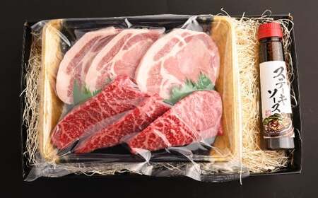 おおいた和牛 ステーキ & 奥豊後豚 ステーキ セット 【合計 900g 】ステーキソース付き 