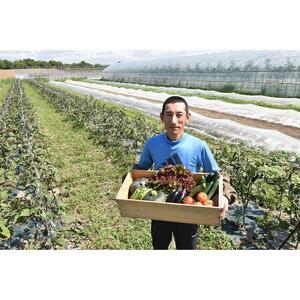 【2026年先行予約】7・8月　計2回定期便　北海道産旬の無農薬栽培　野菜の詰め合わせ7～10種類  | 野菜詰め合わせ _04700