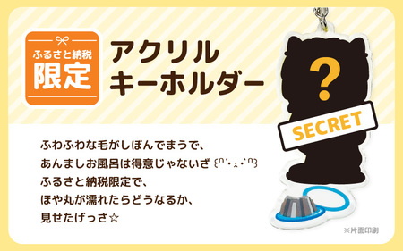 坂井市公式キャラクター「坂井ほや丸」ぬいぐるみ12cm ＆ 限定アクリルキーホルダー  [A-20601]