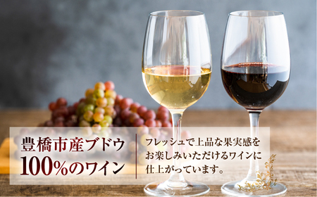 Stein シュタイン ワイン 赤 カベルネソーヴィニヨン 石巻産 葡萄100％使用 赤ワイン 国産 赤