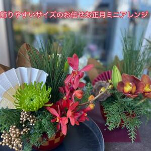【数量限定】正月飾りとミニアレンジの完璧お正月セット（DR-29）