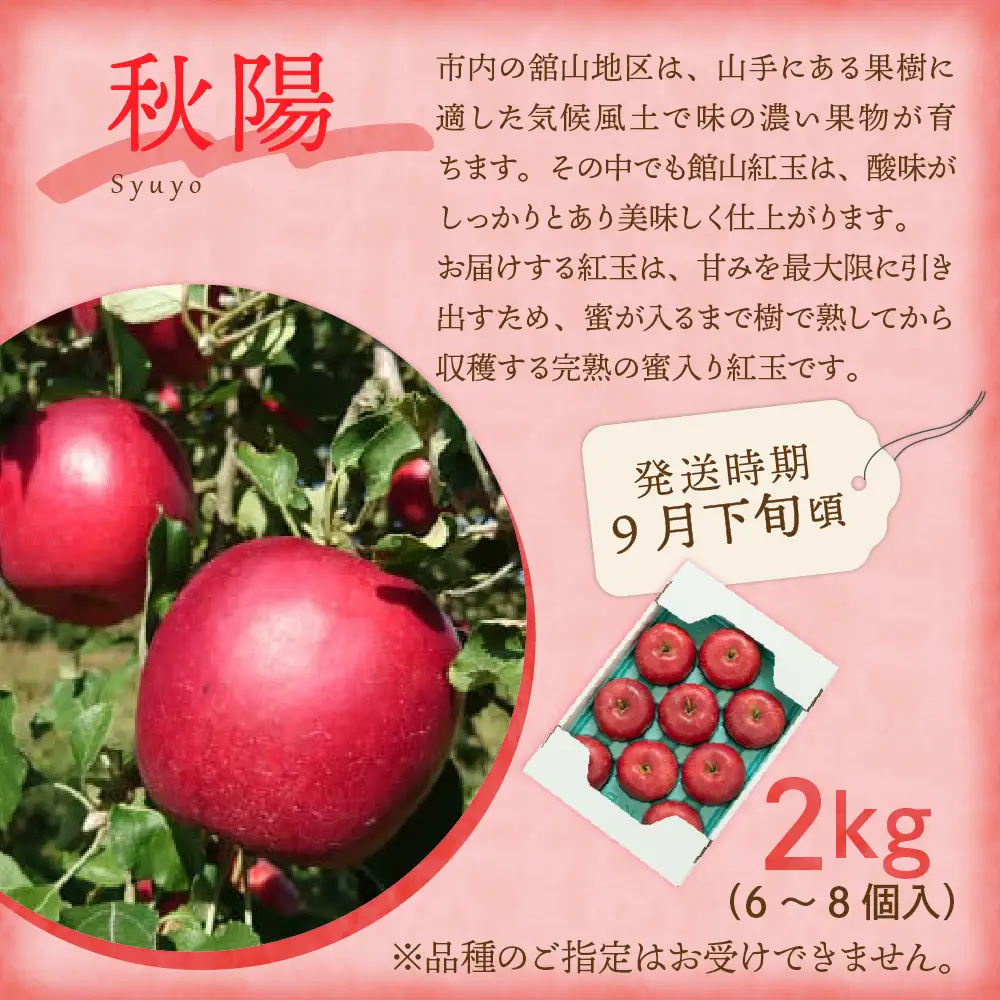 【先行予約】定期便 令和8年産 旬のフルーツ 4回 定期便 山形 果物