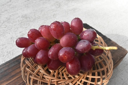 おまかせ！ぶどう3色食べ比べセット　約1.8㎏ シャインマスカット 山梨シャインマスカット