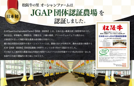 松阪牛 焼肉 （ モモ ・ バラ ） 500g 肉 牛 牛肉 和牛 ブランド牛 高級 国産 霜降り 冷凍 ふるさと 人気 焼肉　焼肉用 BBQ バーベキュー モモ肉 バラ肉 J14