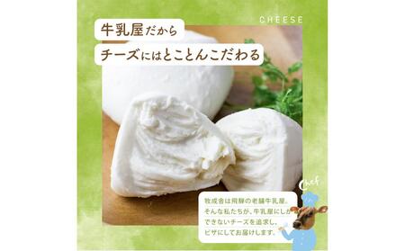 ＜牧成舎＞飛騨の牛乳屋さんが作った こだわりの モッツァレラたっぷりマルゲリータピザ（24cm×1枚） | ピザ チーズ 手造り おいしい 電子レンジOK 簡単調理 パーティ 飛騨高山 (有)牧成舎 DF039