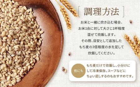 飛騨高山で有機栽培した「もち麦」はねうまもち 1kg | もち麦 雑穀 米 有機栽培 オーガニック 健康 おいしい 飛騨高山 有限会社山藏農園 JC016