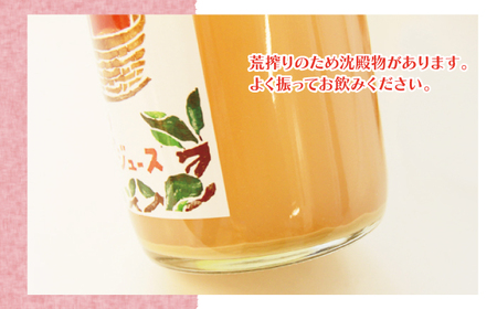 種類おまかせ すっぱい りんごジュース 720ml 6本 セット 【フルーツファームおやまだ】 ／ りんご リンゴ 林檎 アップル リンゴジュース 林檎ジュース アップルジュース 果汁100% 100％ ストレートジュース 荒搾り あらしぼり ジュース 果物 くだもの フルーツ ドリンク おすすめ