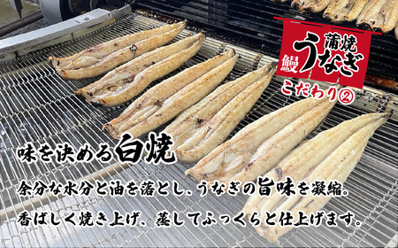 うなぎ 国産 特上 ウなぎ 蒲焼き 2尾カット 6枚 550g ウナギ