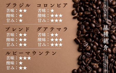 温洗珈琲豆 200g×5袋【 コーヒー コーヒー豆 ドリップコーヒー コーヒー 珈琲 コーヒー 珈琲豆 自家焙煎 コーヒー  】