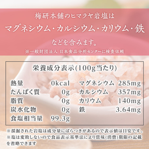 災害用 食塩 ピンク岩塩(小粒×5袋・100g/袋)  ヒマラヤ岩塩 ピンク岩塩 岩塩 塩 食塩 調味料 ミネラル 熱中症対策 災害用 防災グッズ 災害対策 備蓄 【梅研本舗ジャパン】akn047-09