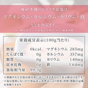 災害用 食塩 ピンク岩塩(あら塩×5袋・100g/袋)  ヒマラヤ岩塩 ピンク岩塩 岩塩 塩 食塩 調味料 ミネラル 熱中症対策 災害用 防災グッズ 災害対策 備蓄 【梅研本舗ジャパン】akn047-10
