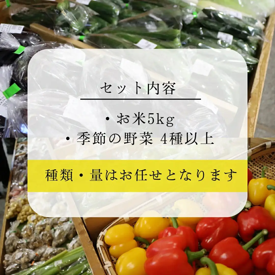 MT002　お米5kgと旬の野菜の詰め合わせ 道の駅東洋町おまかせセット 季節の野菜 米 おまかせ