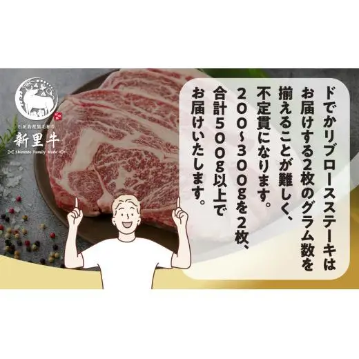 石垣島産 黒毛和牛 新里牛 どデカリブロースステーキ（不定貫200～300g×2）合計500g以上　 SZ-33