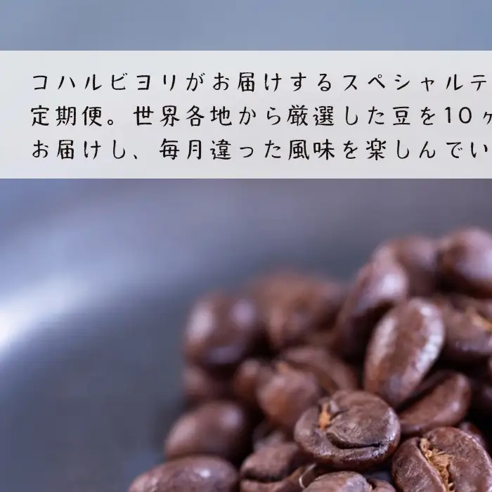 【定期便10ヶ月】スペシャルティーコーヒー定期便（豆200g 2種）合計4kg