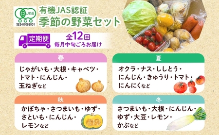 定期便 全12回 季節の野菜詰め合わせ ノウフク 冷蔵便 就労支援 セット 詰合せ 農福 農福JAS 無農薬 有機JAS 有機栽培 オーガニック 野菜 新鮮 料理 旬 季節 無農薬 千代田ファーム 愛知県 あま市