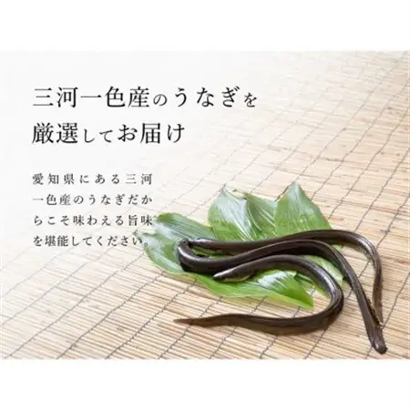 炭火手焼き☆三河一色産うなぎ蒲焼　2尾　うなぎ十楽【配送不可地域：離島】【1581887】
