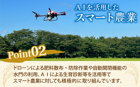 25年10月中旬以降順次発送 富山県滑川産「てんこもり」与文のお米（精米10kg）産地直送 袋 精米10kg おにぎり お米 白米 国産 ご飯 ごはん 富山県 滑川市 アグリめぐみ B-050002