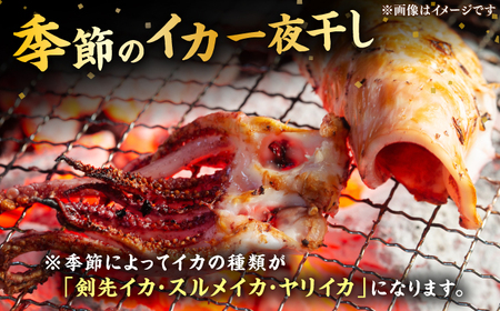季節のイカ一夜干し1枚＋生ウニ60g 《壱岐市》【合同会社塚元】 [JDR026] ウニ イカ セット