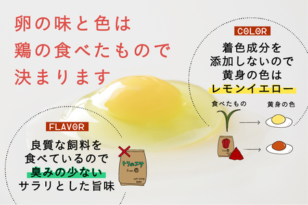 【月2回・12ヵ月定期便】平飼い有精卵 50個 計1200個【冷蔵便】たまご 玉子 生 冷蔵 [AXAN023]