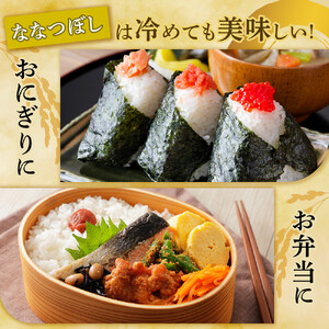 【特Aランク】令和7年 北海道産ゆめぴりか・ななつぼし食べ比べセット 10kg | ゆめぴりか _04809