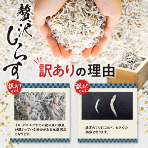 生しらす 200g 訳ありしらす干し 500g 食べ比べセット