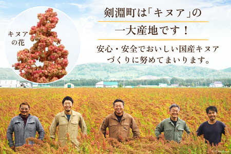 スーパーフード！ 北海道 けんぶち産 焙煎キヌア 500g 1袋 [けんぶちVIVAマルシェ 北海道 剣淵町 14656309-c]