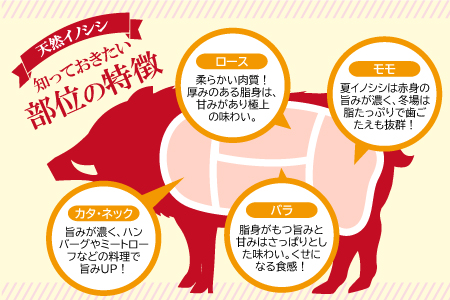 イノシシ肉 味噌すき鍋セット 約500g