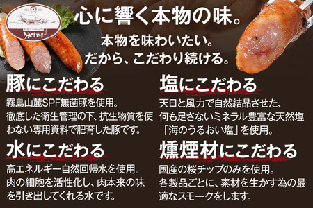 手造りハンバーグのセット（Gセット） ハンバーグ うえすたん 手作り セット 詰め合わせ 福岡県 志免町