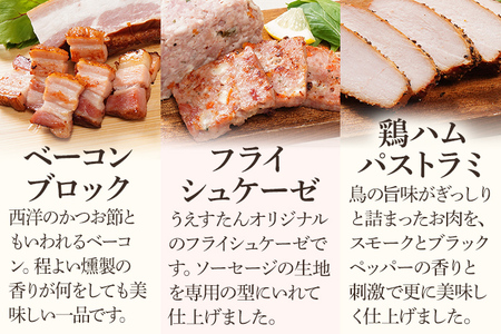 手造りソーセージ フライシュケーゼ 鶏ハムパストラミのセット（Iセット） ウィンナー フライシュケーゼ ベーコン パストラミ うえすたん セット 詰め合わせ 福岡県 志免町