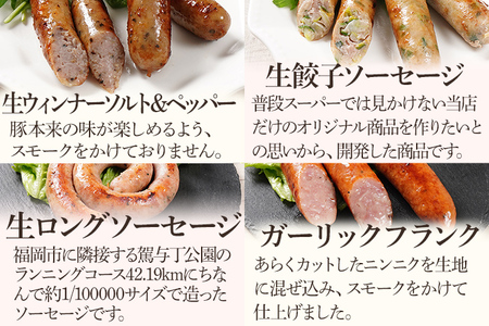ソーセージ 10種類 食べ比べセット ソーセージ