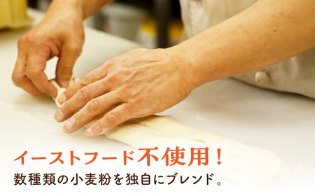 【2回定期便】高知のご当地パン ぼうしパン入り “パン工房だんだん” おすすめパンセット 9種類 17個入り【パン工房だんだん】[ATAQ011]