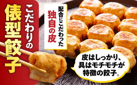 餃子 岐阜餃子32個入り [ANEY002] 餃子