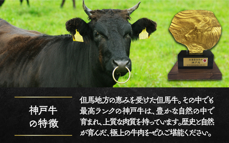 【毎月数量限定】神戸牛100%使用・肉の旨みたっぷり・ハンバーグ6個セット