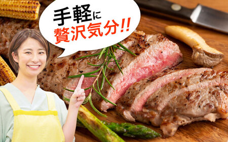 【全6回定期便】おおいた豊後牛 サーロインステーキ 250g (250g×1枚) サーロインステーキ  [AREI054]