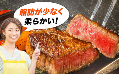 【全12回定期便】おおいた豊後牛 ヒレ ステーキ 450g(150g×3枚) 日田市 黒毛和牛 ステーキ 牛肉 フィレ 豊後牛 ヒレ [AREI121]