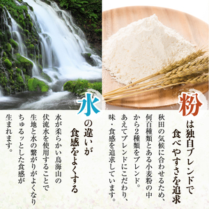 喉越しの良い象潟うどんとひやむぎセット(各5束合計10束 20人前 乾麺） 麺類 冷や麦 冷麦 大量 長期保存 