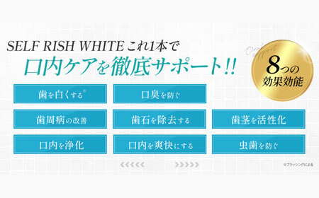歯磨き粉【全12回定期便】薬用ホワイトニング歯磨き粉 2本（各120g）歯磨き粉[AGCQ012]