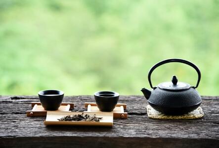 【定期便全12回】八女茶　煎茶セット　100g×2袋