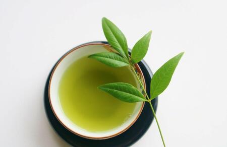 【定期便全6回】八女茶　【特上】煎茶セット　100g×2袋