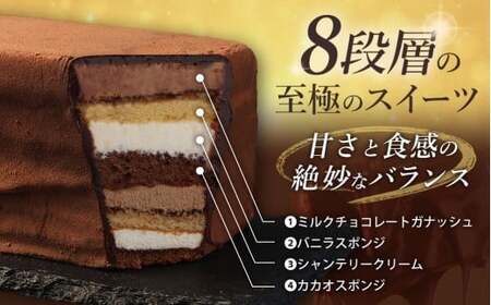 【全6回定期便】 長崎石畳ショコラ ハーフサイズ1個 ／ 合計6個 ケーキ スイーツ ご当地スイーツ グルメ チョコ チョコレート グルメ