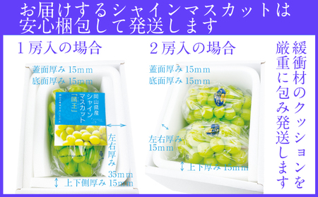 2026年予約受付中 シャインマスカット 晴王 7月～8月出荷 2房 約1.2kg  人気 岡山県産 種無し 皮ごと食べる みずみずしい  フレッシュ 晴れの国 おかやま 果物大国 ハレノフルーツ