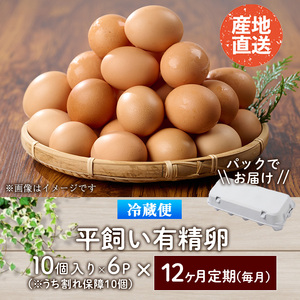 ＜定期便・全12回＞産直・平飼い有精卵 (総計720個・60個×12回(毎月発送)) 卵 玉子 卵かけご飯 玉子焼き 平飼い 鶏 鶏卵 養鶏場直送 朝採れ 新鮮 大分県 佐伯市 【HM10】【佐伯養鶏場】