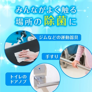 ウェットティッシュ バケツタイプ 本体 300枚 1個 高濃度エタノール除菌79％ ウェットティッシュ 日用品 日用品