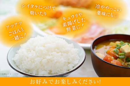 AI204 みそdeしょうが 100g 1個 [長崎県 島原市]