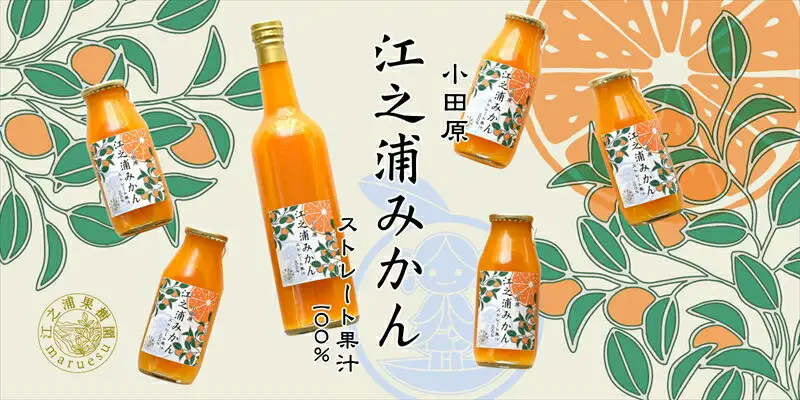【定期便 12回】小田原産江之浦みかん１００％ストレートジュース５００ml１２本【みかんジュース みかんジュース 神奈川県 小田原市 】