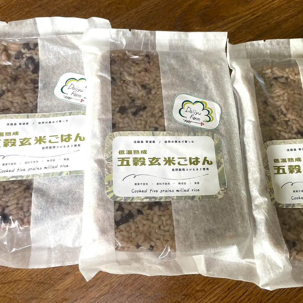 レトルトごはん（五穀玄米） 10パックセット 化学調味料無添加・無菌