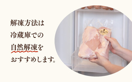 特別飼育 豊後どり 4kg(もも肉・むね肉セット各2kg) | 豊後高田市 もも肉