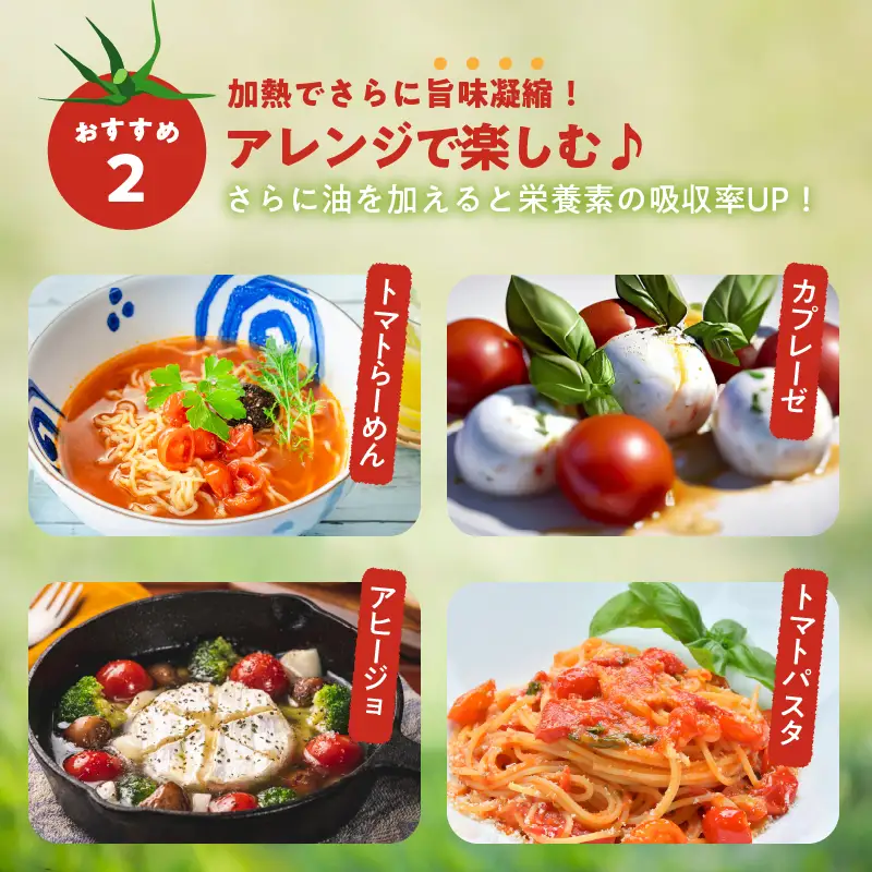 ≪期間限定≫オリジナルブランド「フルーツトマト ゆき」計2kg ミニトマト 野菜 サラダ 国産_T047-0045