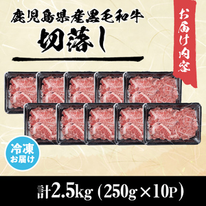 【小分け】＜A5等級＞鹿児島県産黒毛和牛 切り落とし(250g×10P・計2.5kg) 牛肉 肉 小分け 切落し 切り落とし 切り落し 国産 鹿児島県産 黒毛和牛 A5 全国和牛能力共進会 牛丼 c0-121