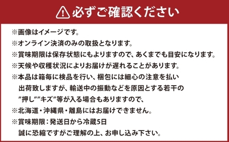 【定期便 全2回／2026年9・10月発送】 岡山県産シャインマスカット 晴王 1房 約700g｜2回定期便 9月・10月に1回づつお届け 種無し 皮ごと食べる 旬の美味しさ フレッシュ 先行予約 ハレノフルーツ